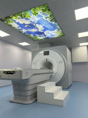 качество Системы резонансной визуализации 1.5T Faraday Cage Box 100MHZ для сверхпроводящих магнитных завод